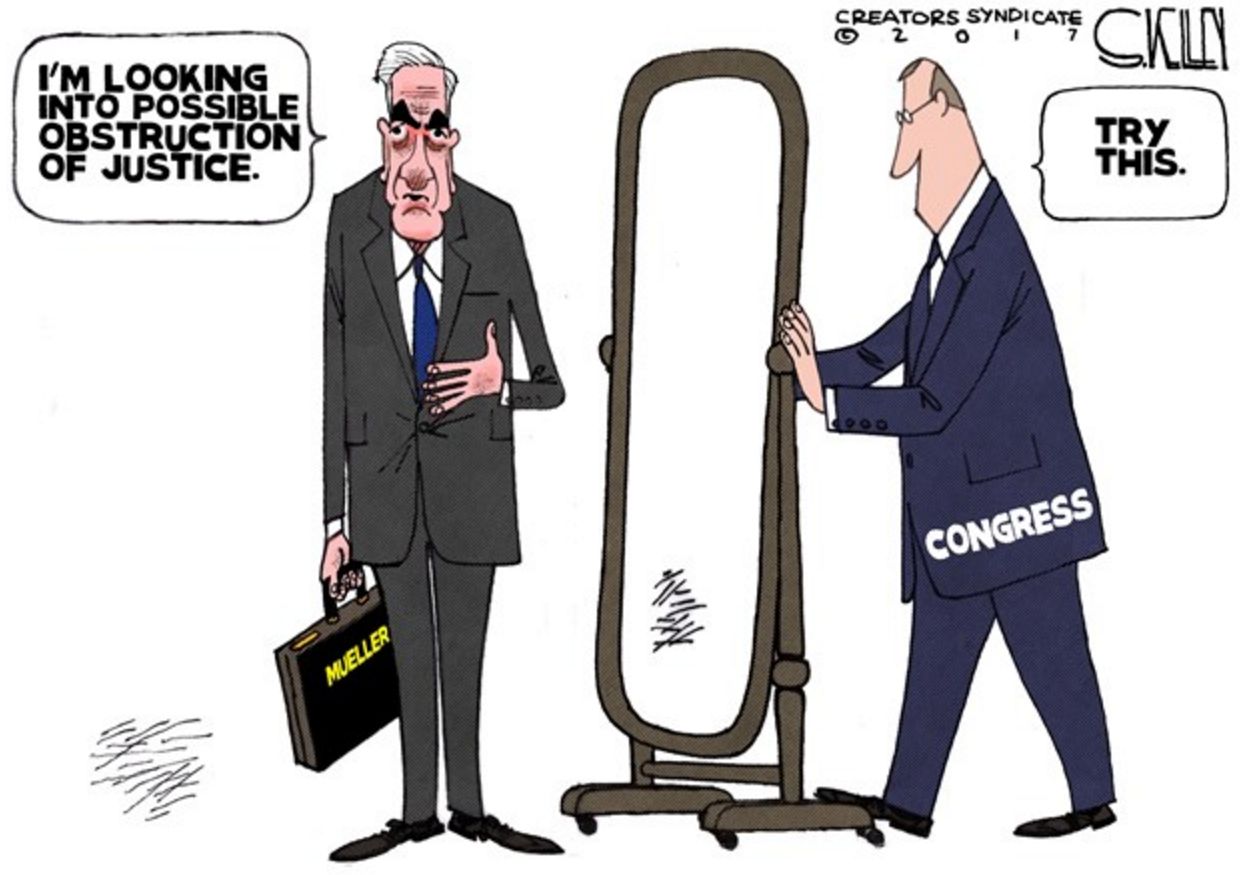 Image result for Mueller FISA cartoons