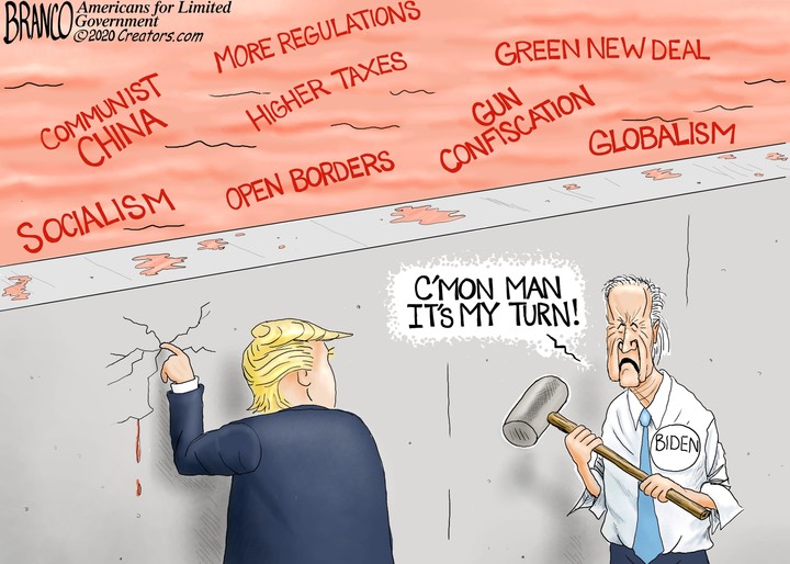 trump-biden-wall-cartoon.jpg
